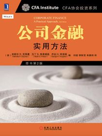 公司金融：实用方法（原书第2版）