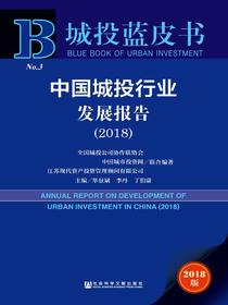 中国城投行业发展报告（2018）（城投蓝皮书）