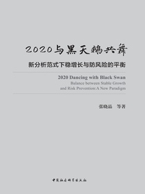 2020与黑天鹅共舞：新分析范式下稳增长与防风险的平衡