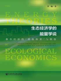 生态经济学的能量学说：都市经济的㶲值核算与模拟