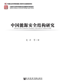 中国能源安全结构研究（中国社会科学院财经战略研究院报告）