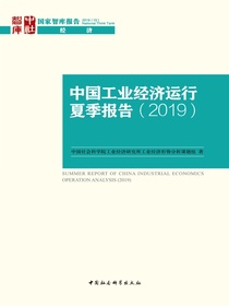 中国工业经济运行夏季报告（2019）