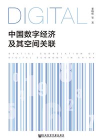 中国数字经济及其空间关联