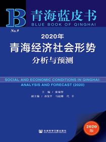 2020年青海经济社会形势分析与预测（青海蓝皮书）