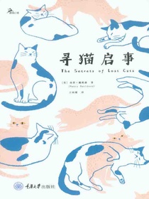 寻猫启事