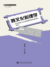跨文化心理学：希望理论与自我效能理论的适用性对比