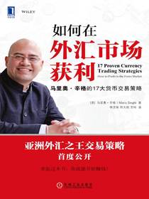 如何在外汇市场获利：马里奥·辛格的17大货币交易策略
