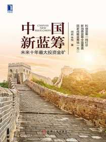 中国新蓝筹：未来十年最大投资金矿