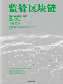 监管区块链：代码之治