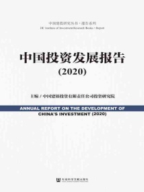 中国投资发展报告（2020）（中国建投研究丛书·报告系列）
