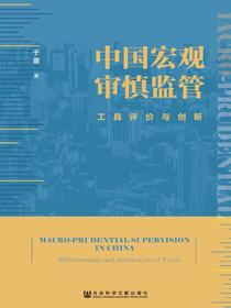 中国宏观审慎监管：工具评价与创新