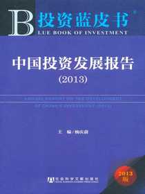 中国投资发展报告（2013）（投资蓝皮书）