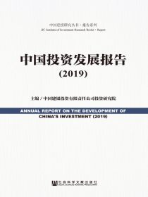 中国投资发展报告（2019）（中国建投研究丛书·报告系列）