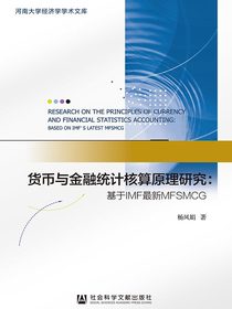货币与金融统计核算原理研究：基于IMF最新MFSMCG