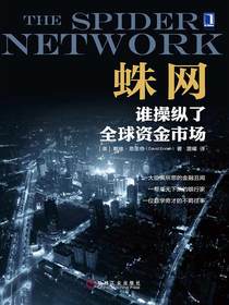 蛛网：谁操纵了全球资金市场