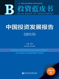 中国投资发展报告（2015）（投资蓝皮书）