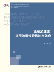 金融加速器：货币政策传导机制与效应