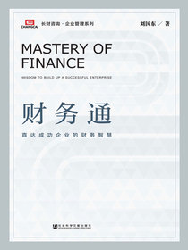财务通：直达成功企业的财务智慧