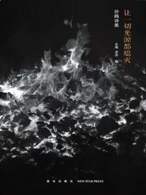 让一切光源都熄灭：沙鸥诗集