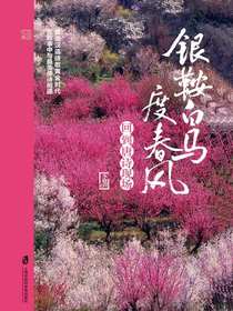 银鞍白马度春风：回到唐诗现场