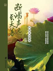 断鸿声远长天暮：回到宋词现场