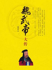 魏武帝大传（精）