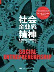 社会企业家精神——创造性地破解社会难题