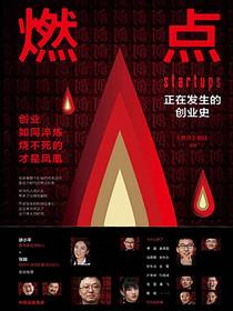 燃点：正在发生的创业史