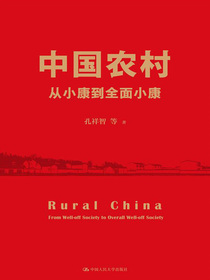 中国农村：从小康到全面小康