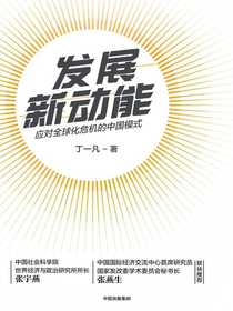 发展新动能：应对全球化危机的中国模式