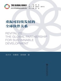 重振可持续发展的全球伙伴关系