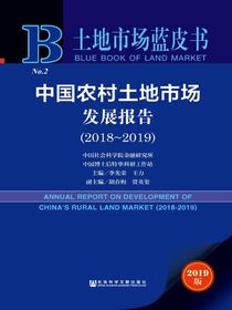 中国农村土地市场发展报告（2018～2019）（土地市场蓝皮书）