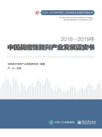 2018—2019年中国战略性新兴产业发展蓝皮书