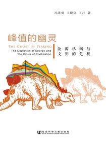 峰值的幽灵：能源枯竭与文明的危机