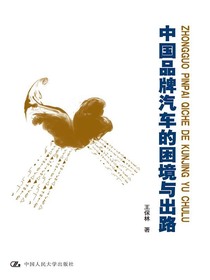 中国品牌汽车的困境与出路（中国经济问题丛书）