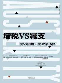 增税VS减支：财政困境下的政策选择