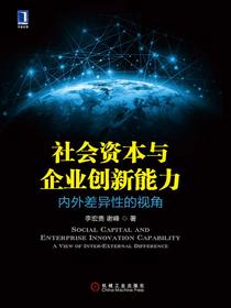 社会资本与企业创新能力：内外差异性的视角