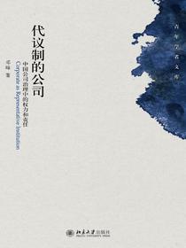 代议制的公司：中国公司治理中的权力和责任