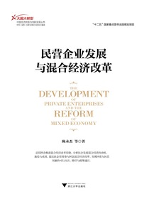 民营企业发展与混合经济改革