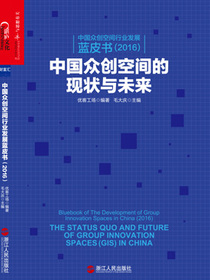 中国众创空间行业发展蓝皮书（2016）——中国众创空间的现状与未来