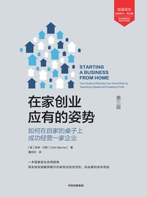 在家创业应有的姿势——如何在自家的桌子上成功经营一家企业（第3版）