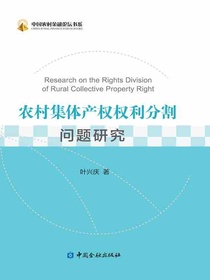 农村集体产权权利分割问题研究