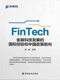 金融科技（FinTech）发展的国际经验和中国政策取向