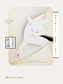 我是猫