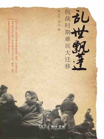 乱世飘蓬