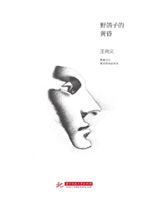 野鸽子的黄昏