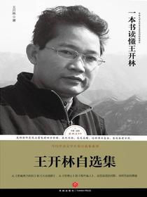 王开林自选集