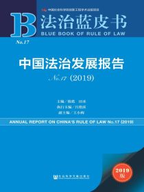 中国法治发展报告(No.17)（2019）（法治蓝皮书）