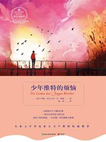 少年维特的烦恼