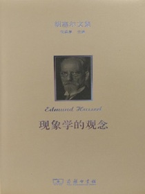 现象学的观念